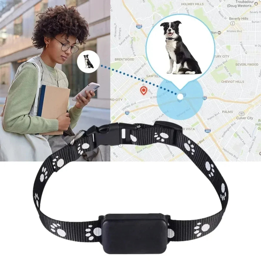 Traceur GPS pour Chats & Chiens – Collier Localisable en Temps Réel