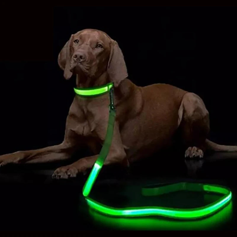 Laisse LED Lumineuse pour Chiens – Sécurité et Visibilité Nocturne