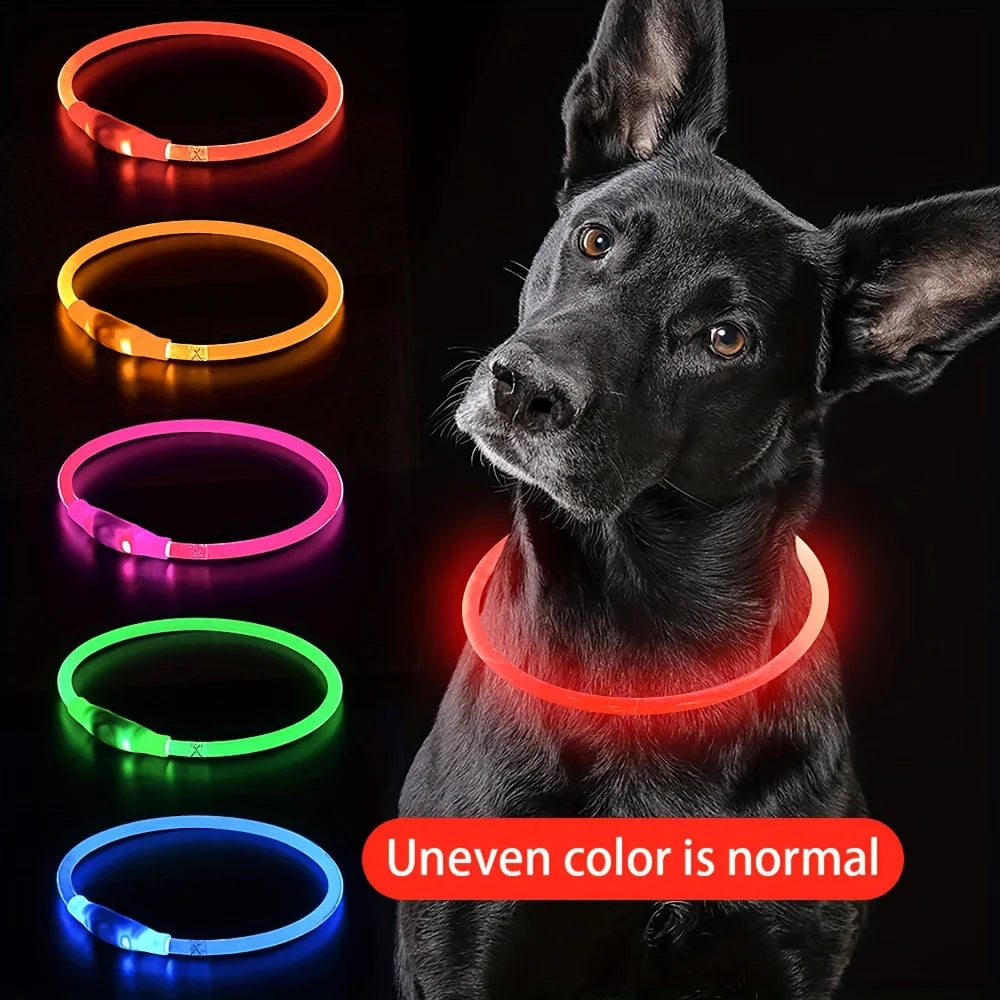 Collier LED Lumineux Rechargeable Anti-Perte pour Chien
